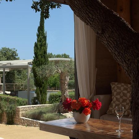 Villa Stolidi Mou Treehouse à Atsipopoulo Extérieur photo